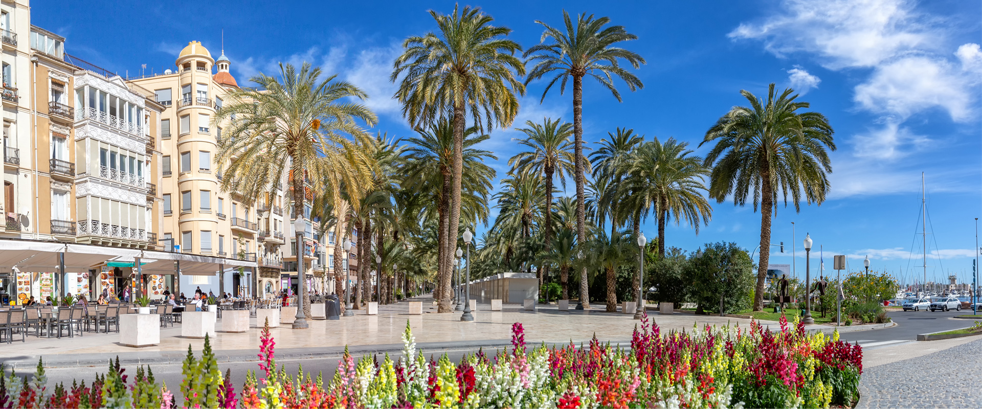 hoteles en alicante